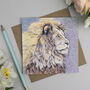 'The Endangered Set' Mixed Pack Of Ten Greeting Cards, thumbnail 7 of 10