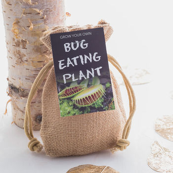 Bug Eating Plant Jute Bag Grow Set, 5 of 8