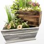 Personalised Wooden Pot Planter, thumbnail 5 of 12