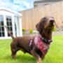 Berry Blossom Floral Dog Collar, thumbnail 5 of 8