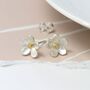 Sterling Silver Forget Me Not Flower Stud Earrings, thumbnail 2 of 11