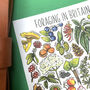 Foraging Plants Of Britain Watercolour Postcard, thumbnail 6 of 10