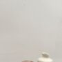 Sake Set Wheel Throwing Pottery Workshop, thumbnail 6 of 10