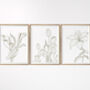 Set Of Three Contemporary Floral Art Prints, thumbnail 7 of 8