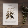 Birth Flower Wall Print 'Lily Of The Valley' For May, thumbnail 1 of 9