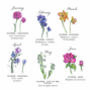 Personalised Birth Month Flower Card, thumbnail 3 of 4
