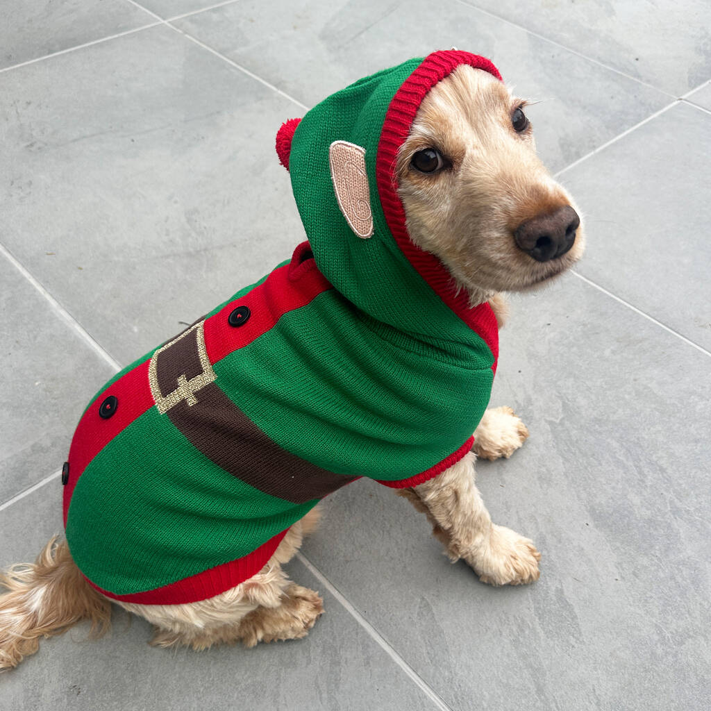 Christmas Elf Dog Jumper, 1 of 5
