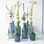Lined Bottle Vase Collection, thumbnail 1 of 2