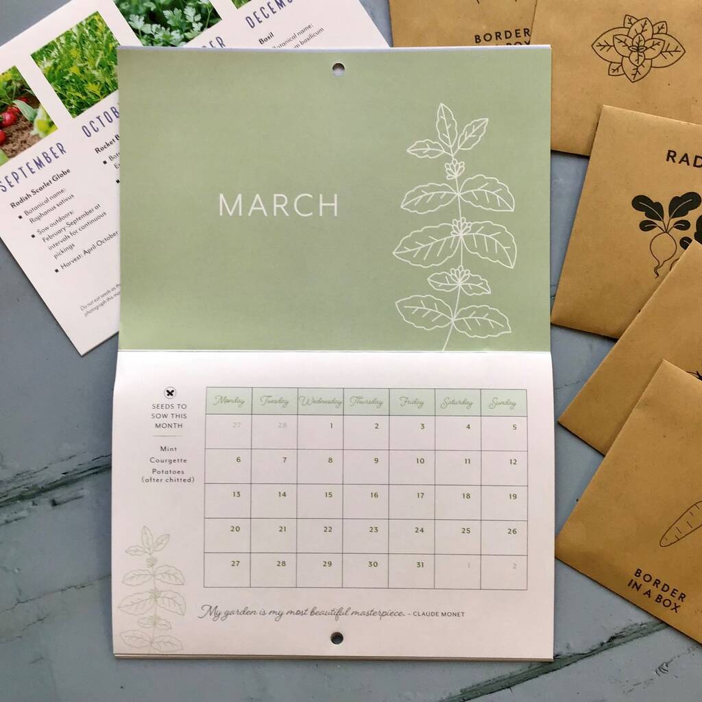 Grow Your Own Veg Wall Calendar 2023 By Border in a Box ...