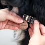 Personalised Wooden Pet Tag, thumbnail 2 of 8
