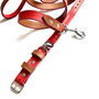 Red Collar And Lead Set, thumbnail 3 of 5