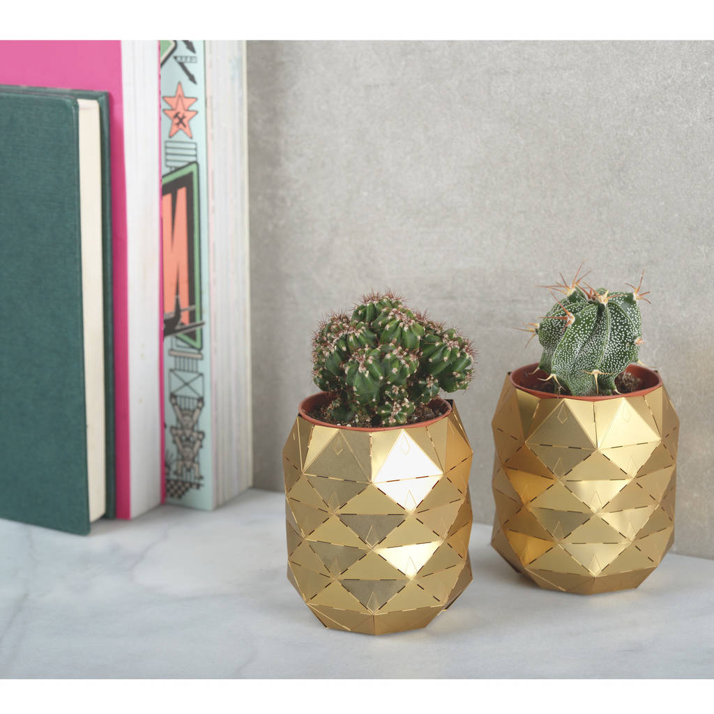 pineapple plant pot by another studio