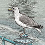 'Sea Gull' Print, thumbnail 3 of 3