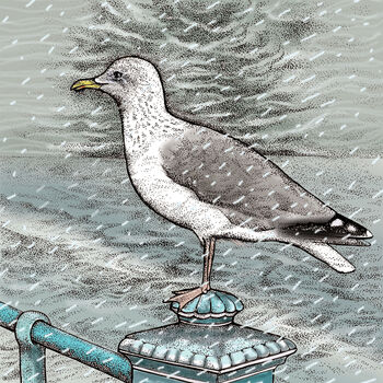 'Sea Gull' Print, 3 of 3