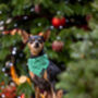 Christmas Mistletow Dog Collar, thumbnail 2 of 5
