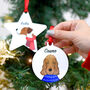 Personalised Christmas Dog Winter Clothing Decoration, thumbnail 1 of 11