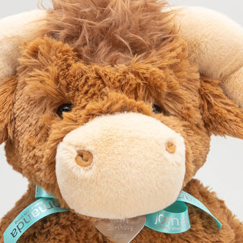 Large Longhorn Highland Cow With Personalised Heart, 3 of 12