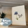 Plantable Thank You Cards, thumbnail 2 of 5