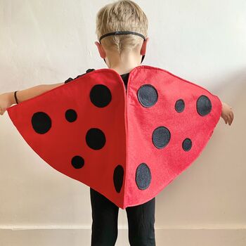 Felt Ladybird Costume For Kids And Adults, 2 of 12