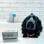 Be:Clean Pet Shampoo Bar, thumbnail 1 of 6