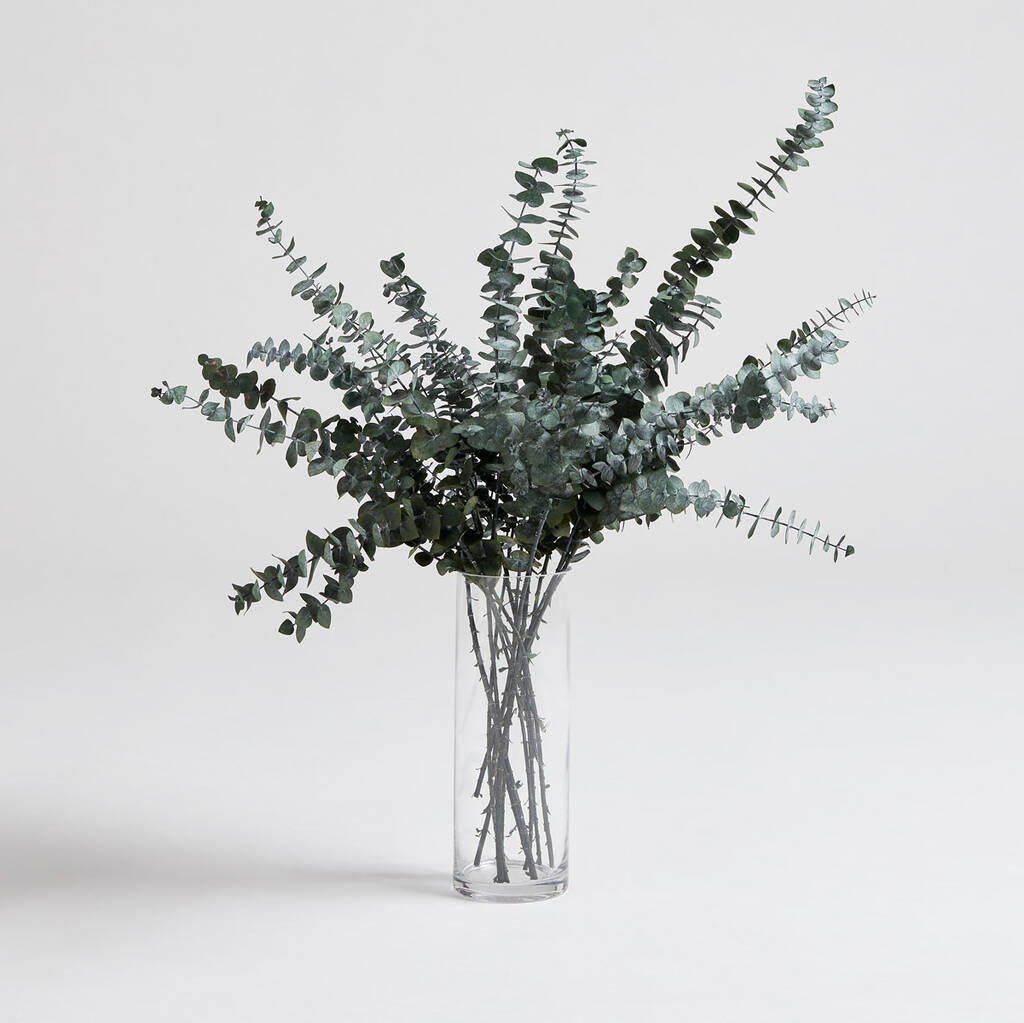 Fresh Baby Blue Eucalyptus Large Bouquet By NATIVE LIVING