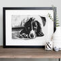 Vintage Style Crosshatch Illustration Of Your Pet, thumbnail 1 of 7