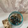 Molten Glass Driftwood Wood Fruit Nuts Bowl Pot Pourri Gift 10cm, thumbnail 4 of 5