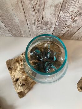 Molten Glass Driftwood Wood Fruit Nuts Bowl Pot Pourri Gift 10cm, 4 of 5
