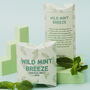 Wild Mint Breeze Soy Wax Melt Or Snap Bar | Fresh Peppermint And Cool Mint, thumbnail 1 of 6