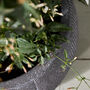 Kalo Grey Striped Planter, thumbnail 4 of 5