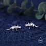 Triceratops Dinosaur Fossil Stud Earrings In Sterling Silver, thumbnail 3 of 11