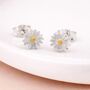 Sterling Silver And Gold Daisy Stud Earrings – 7mm, thumbnail 2 of 4
