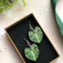 Plant Leaf Silver Plated Earrings Letterbox Gift Set, thumbnail 4 of 12