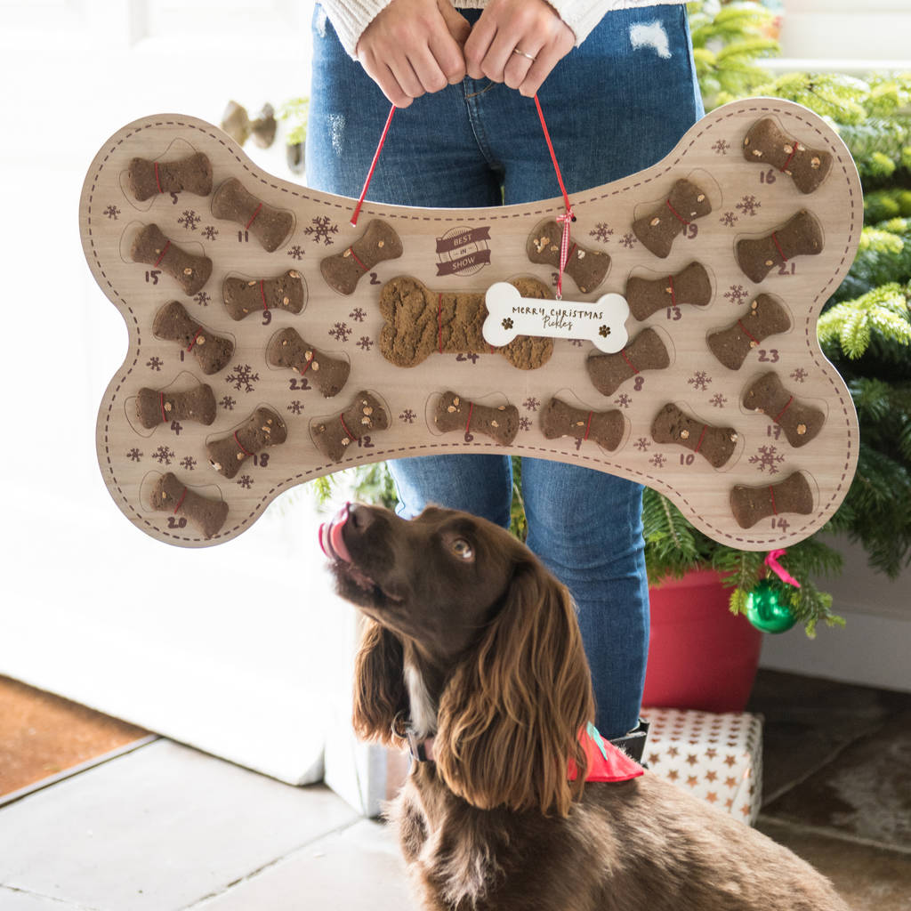 Refillable Dog Biscuit Advent Calendar, 1 of 3