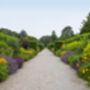 Entrance To R.H.S Garden Rosemoor For Two, thumbnail 3 of 7