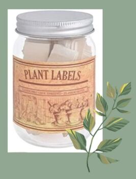 Wooden Plant Labels In A Jar, 4 of 5