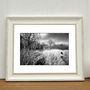 Grass Clearing, Suffolk Photographic Art Print, thumbnail 1 of 4