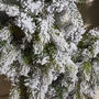 Extra Large Snowy Orchard Christmas Wreath, thumbnail 3 of 4