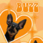 Custom Pet Dog Cat Portrait Groovy Print, thumbnail 3 of 5
