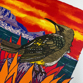 Cape Town Table Mountain And Sugarbird Art Print, 8 of 9