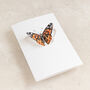 Orange Butterfly Watercolour Pop Out Card, thumbnail 3 of 3