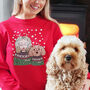 Personalised Me And My Dog Christmas Sweatshirt Jumper, thumbnail 1 of 12