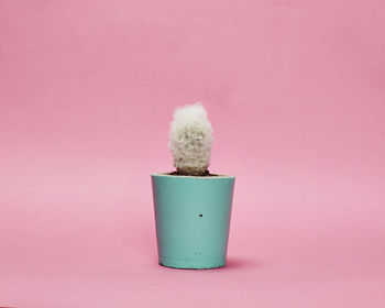 Concrete Pot Small With Cactus/ Succulent In Turquoise, 2 of 5
