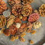 Natural Assortment Of Pine Cones Golden Sparkle, thumbnail 6 of 6