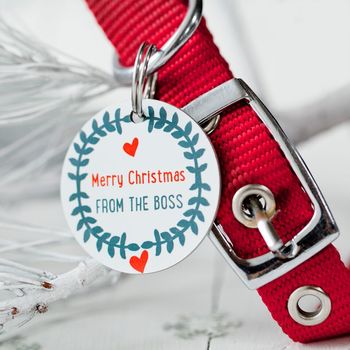 personalised christmas pet tag by seahorse | notonthehighstreet.com