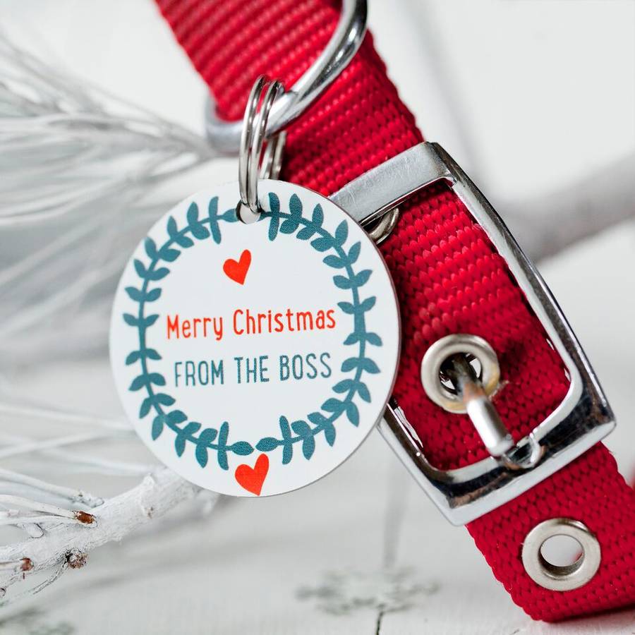 Personalised Christmas Pet Tag By Seahorse 