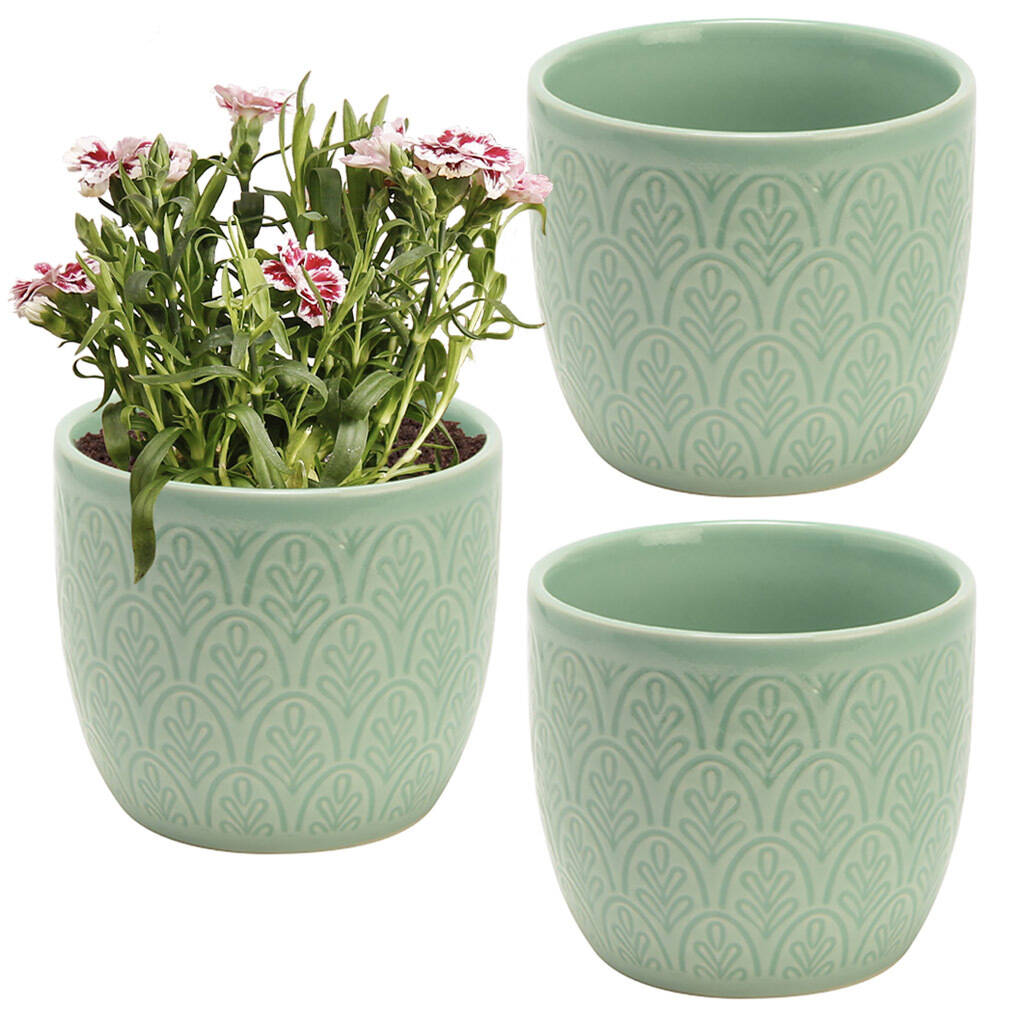 Set Of Three Peppermint Botanical Embossed Plant Pots By Dibor ...