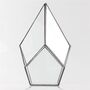 Four Surfaces Diamond Glass Geometric Plants Terrarium, thumbnail 4 of 7