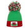 Caerphilly Does It Welsh Big Bobble Hat, thumbnail 1 of 2