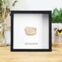 Saltasaurus Egg Shell Box Frame Real Authentic Jurassic Dinosaur Fossil Museum Quality Natural History Interior Design Home Decor Display Gift Ornament, thumbnail 1 of 4